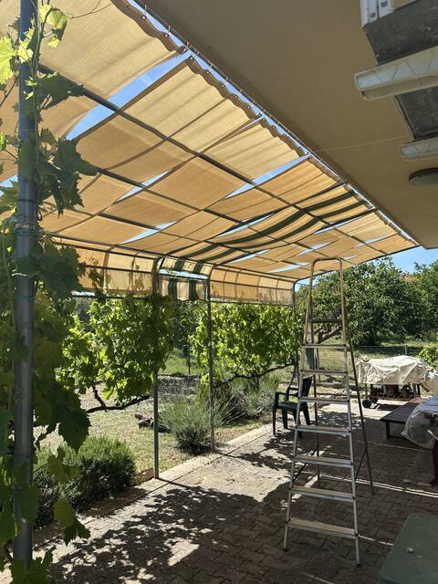 Shaded terrace under a vine and awning