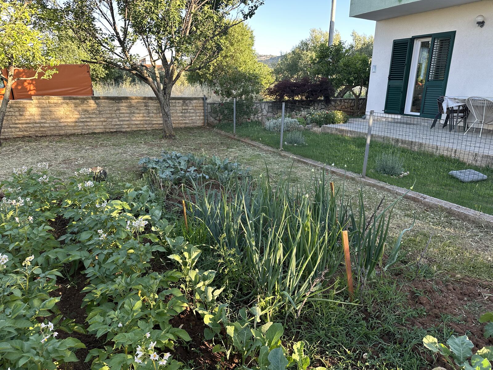 The house in its garden, with a lawn and fruit trees